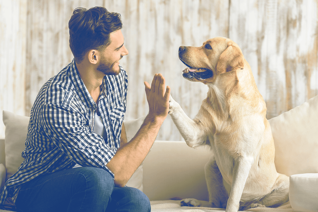 Regalos para amigos con mascotas