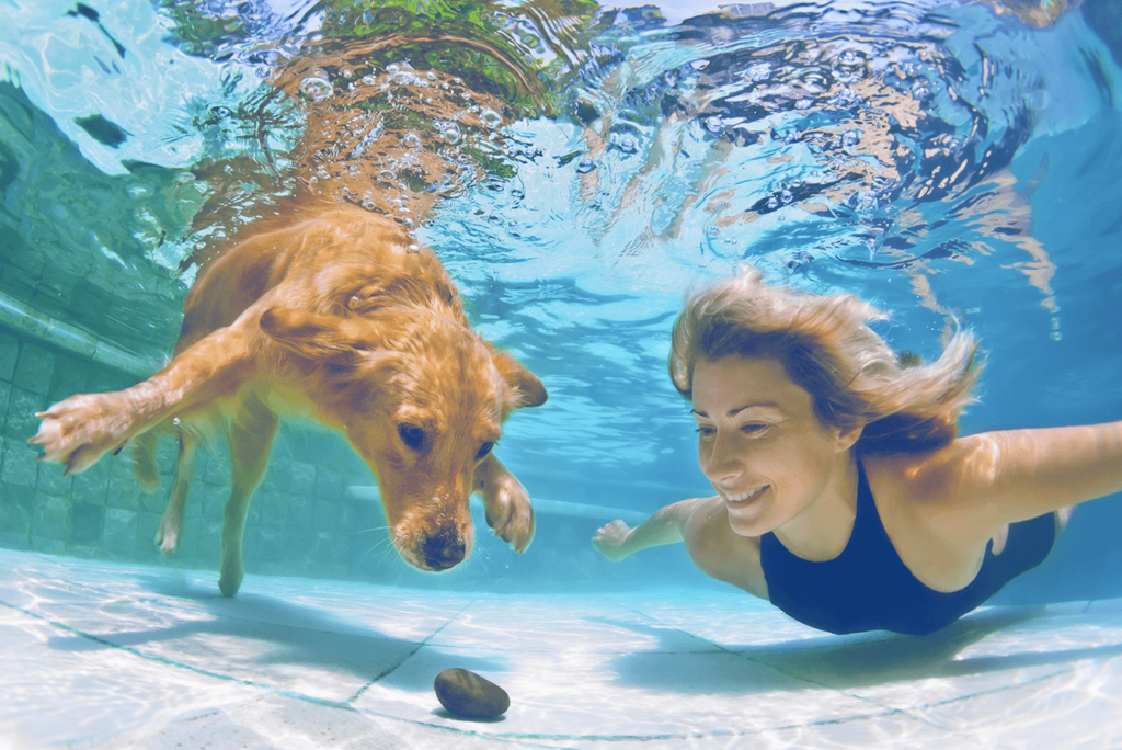 chica nadando con su mascota en una piscina